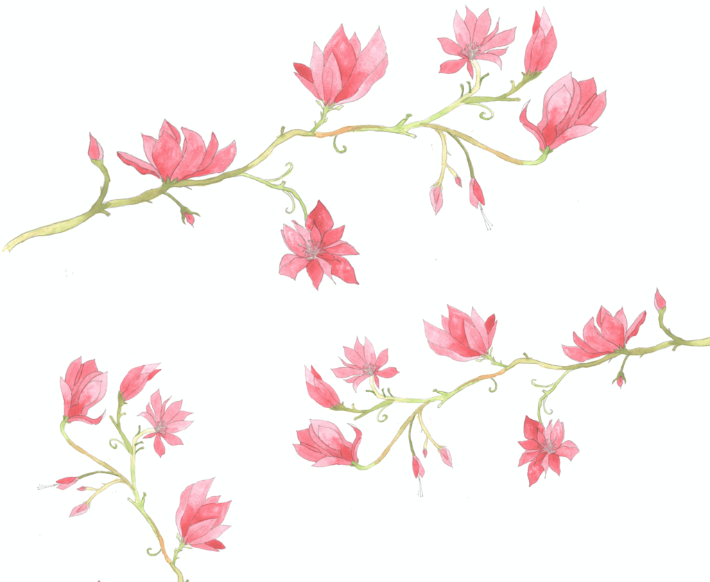 Cerezo