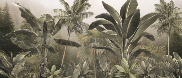 Paradise