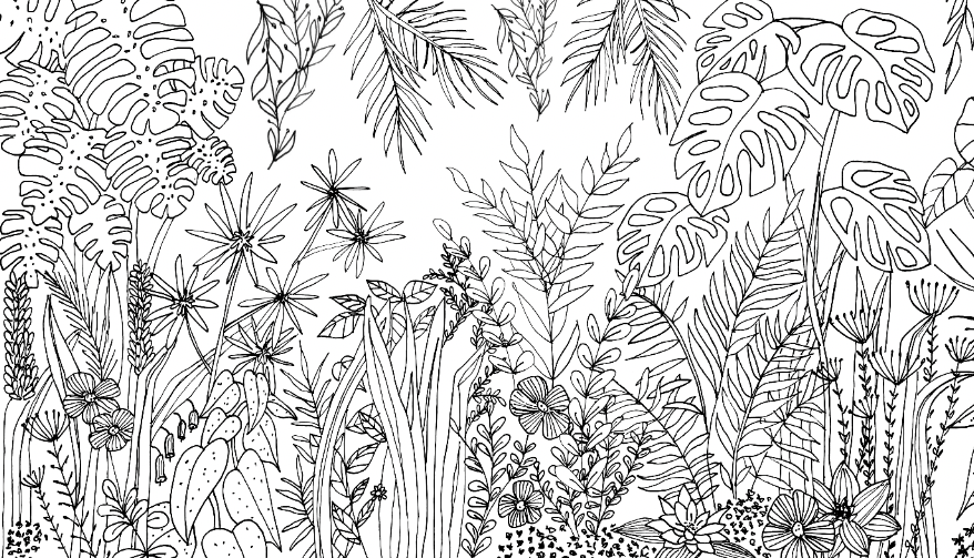 Plantas línea