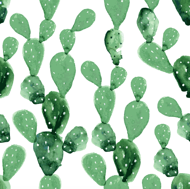 Tijuana verde