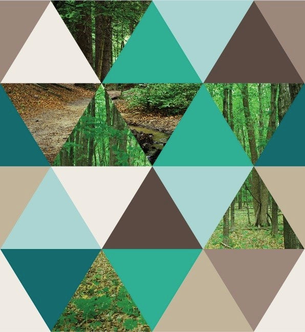 Triángulos bosque