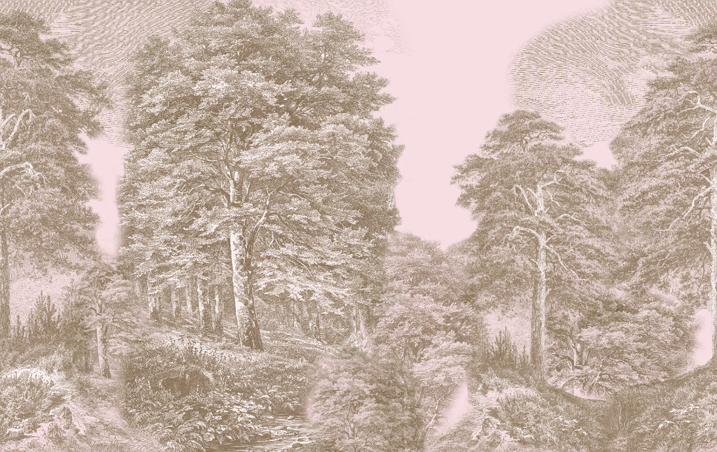 Bosque grabado
