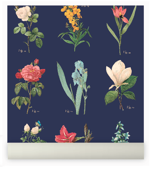 botanica