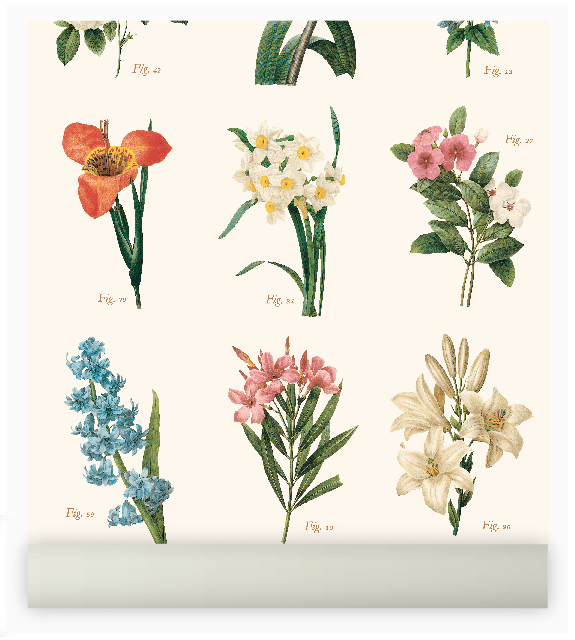 botanica