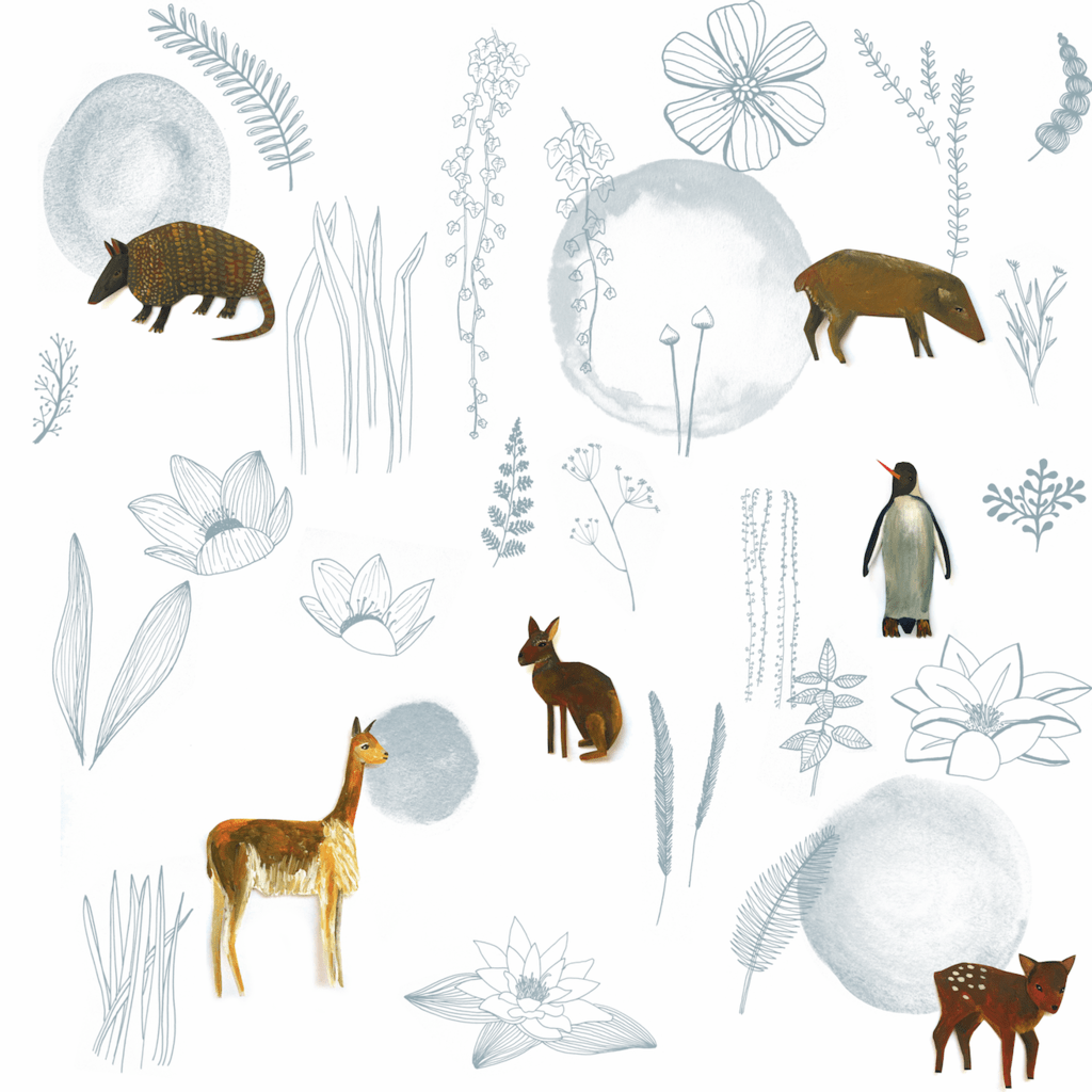 Animales patagonia