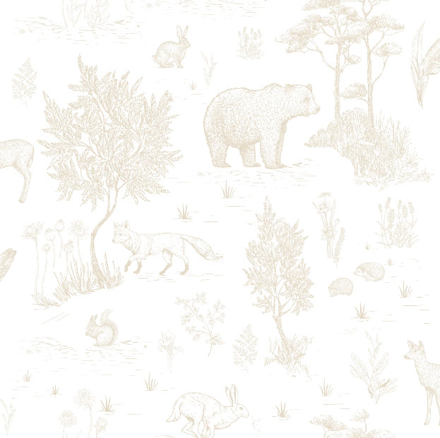Pattern Nido