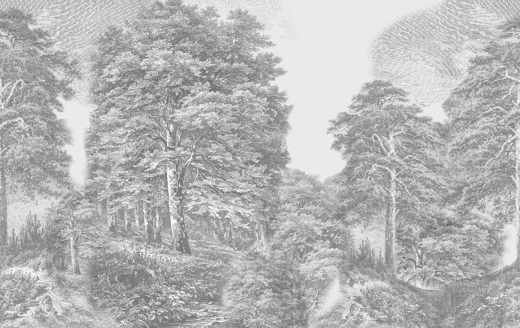 Bosque grabado