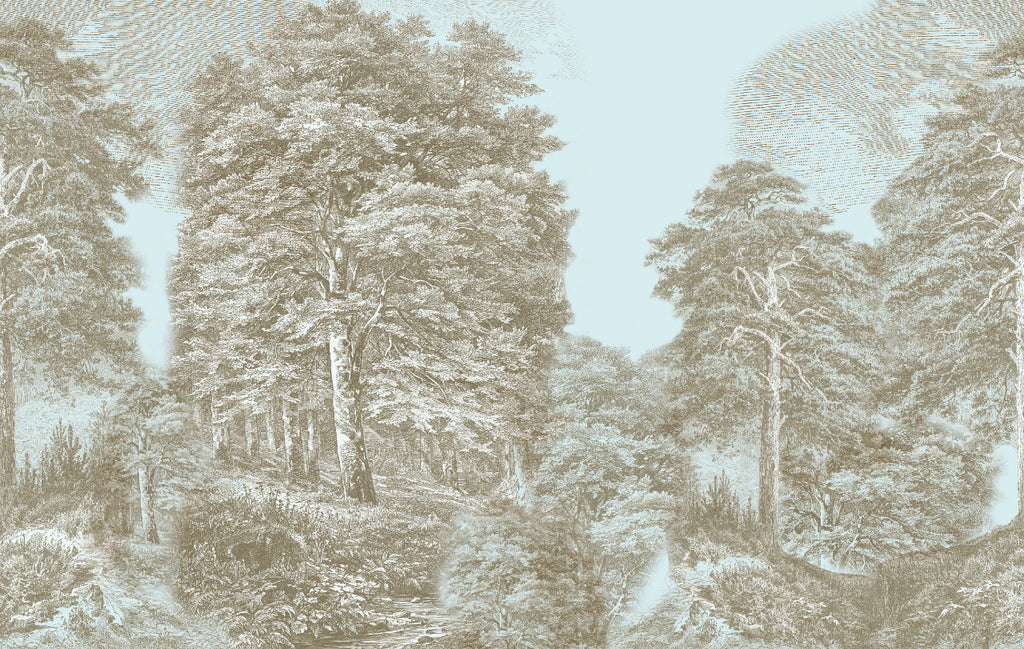 Bosque grabado
